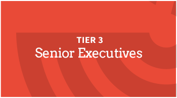 Tier 3 - Senior Executives